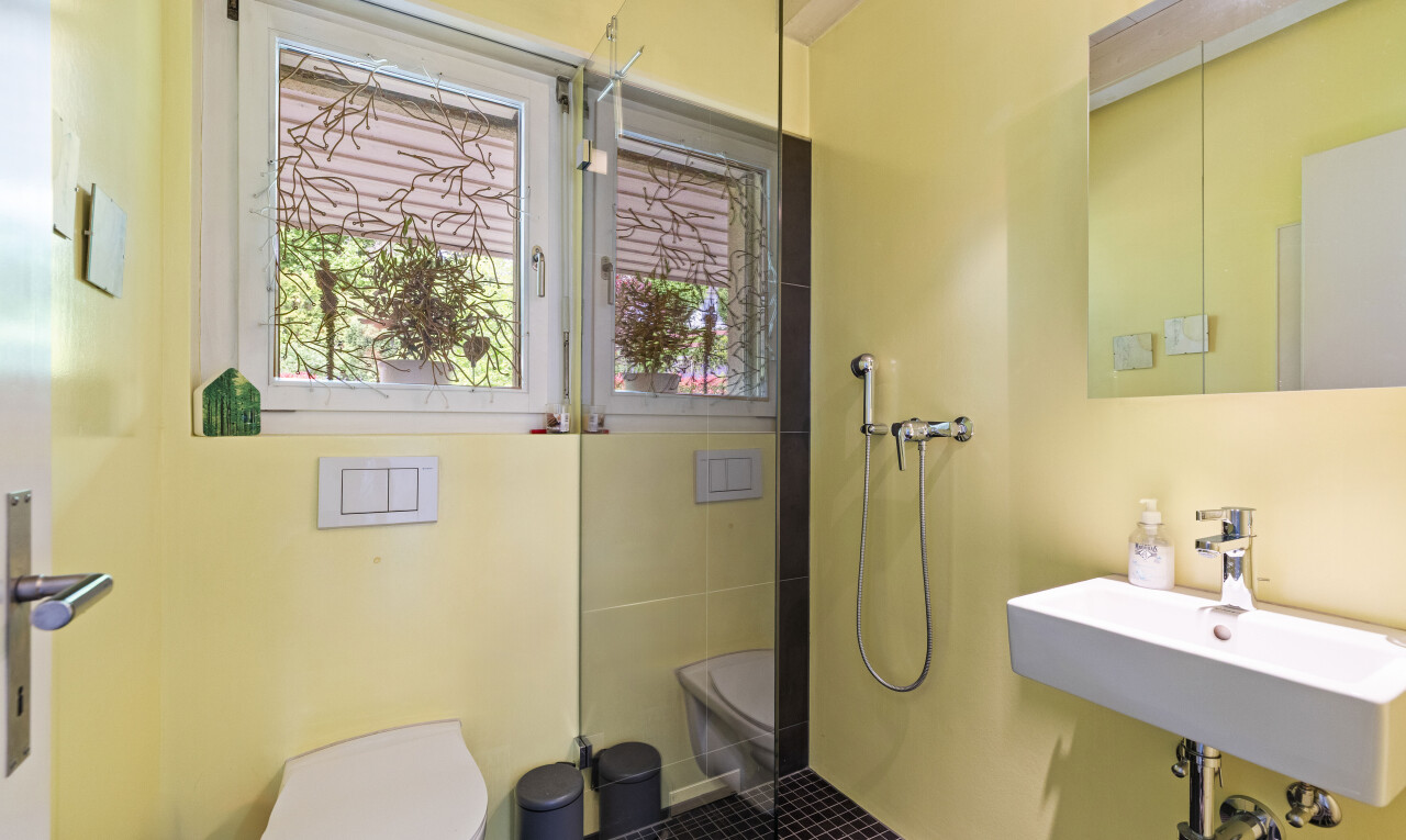 bad mit dusche, toilette, natürliches licht, natural light, und inside property