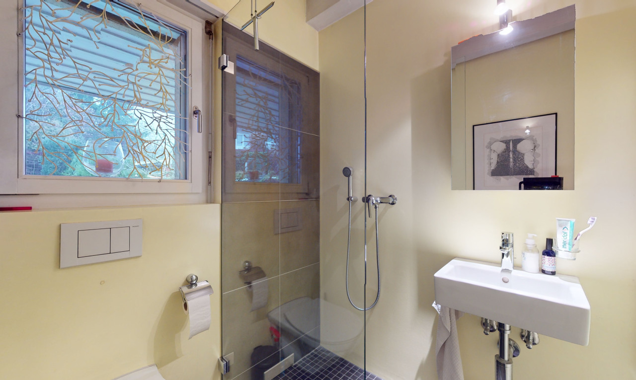 bad mit spiegel, dusche, natürliches licht, und toilette