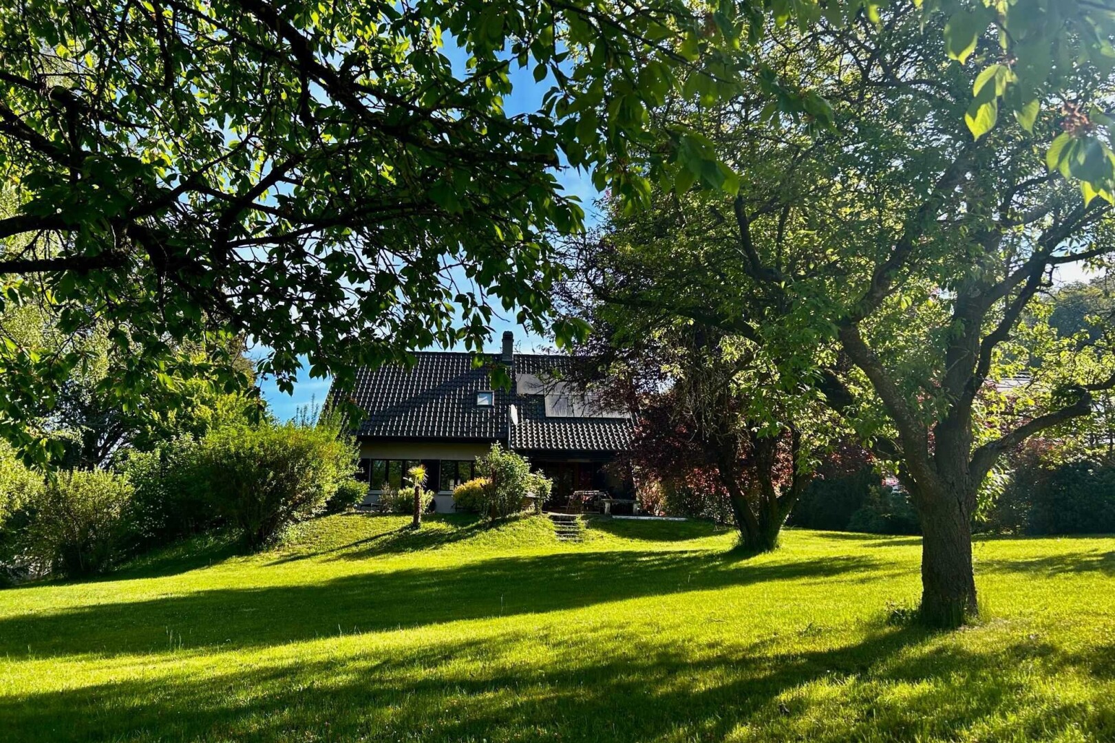 jardin avec pelouse, day time, et property visible