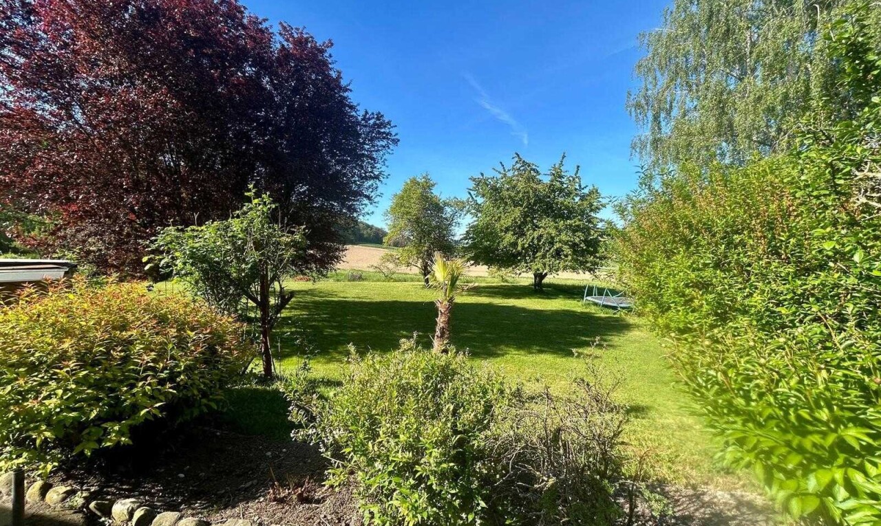 jardin avec day time et pelouse