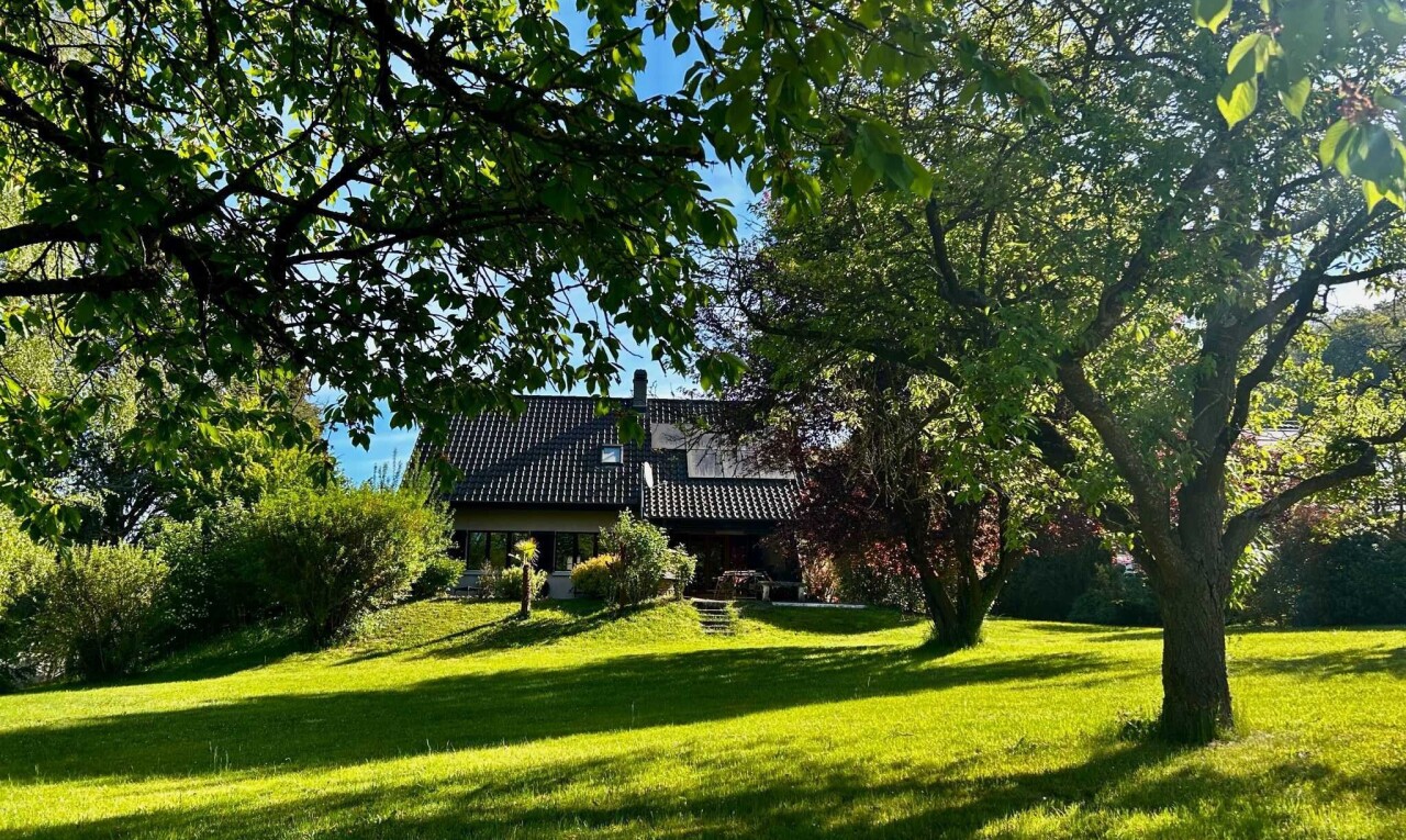 jardin avec pelouse, day time, et property visible