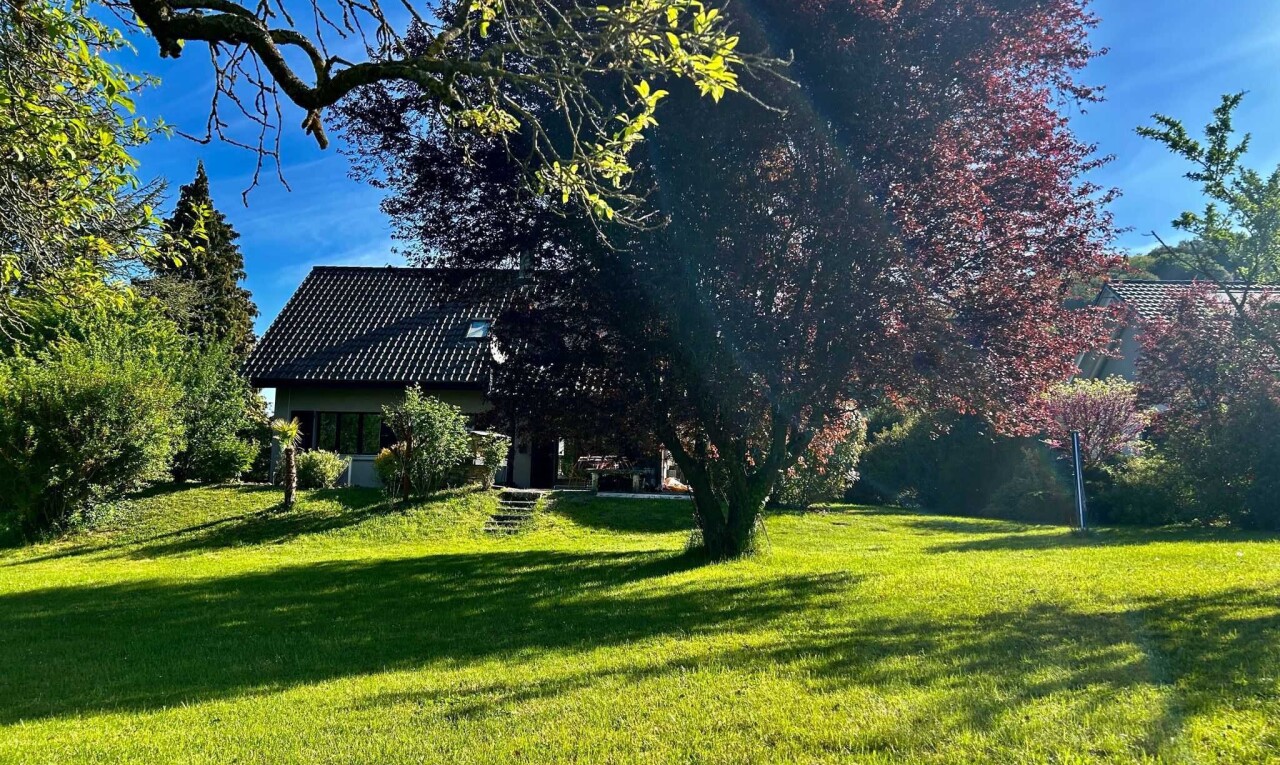 jardin avec pelouse, day time, et property visible