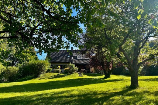 jardin avec pelouse, day time, et property visible