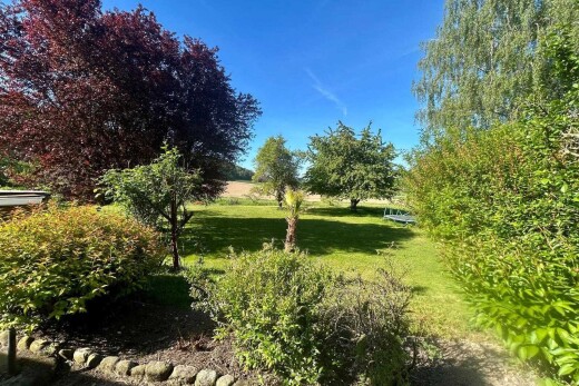jardin avec day time et pelouse