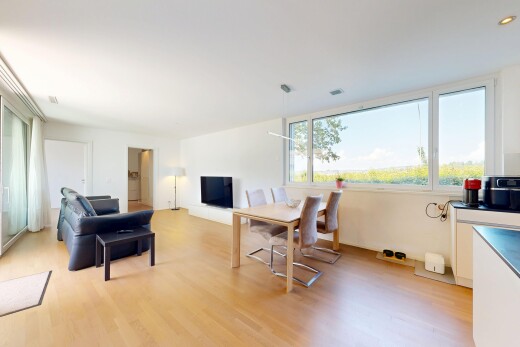 wohn- / esszimmer mit wood finish floor, holzfußboden, natural light, natürliches licht, und inside property