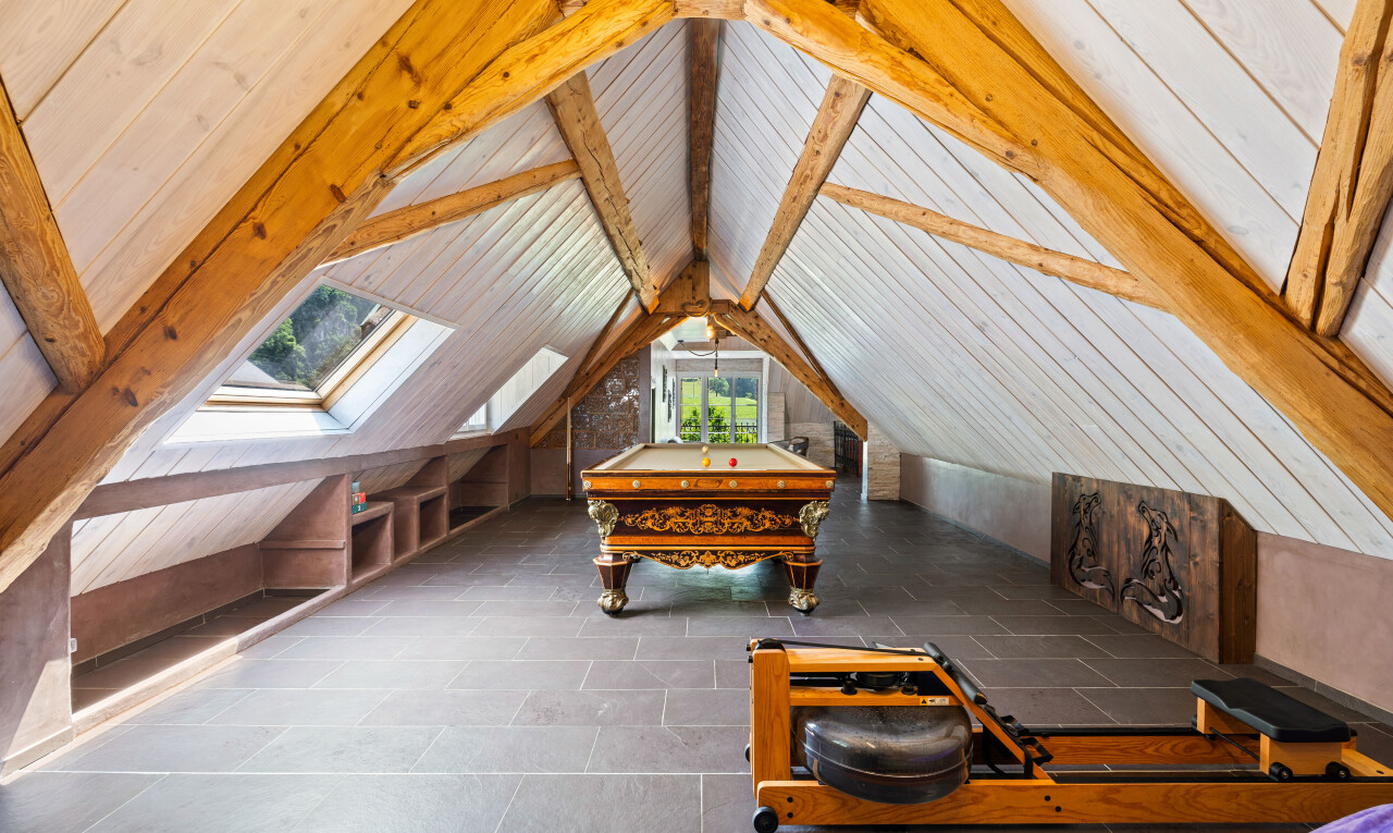 salon avec vaulted ceiling, plafond voûté, pièce supplémentaire, natural light, et lumière naturelle