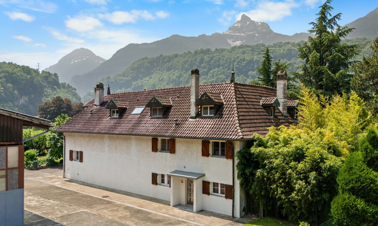 façade avec cheminée, property visible, vue sur la montagne, mountain view, et bardage en stuc