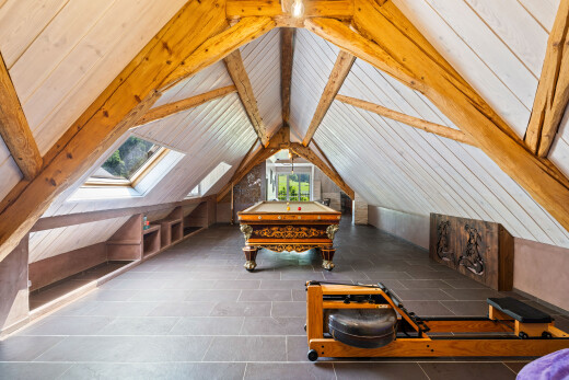 salon avec vaulted ceiling, plafond voûté, pièce supplémentaire, natural light, et lumière naturelle
