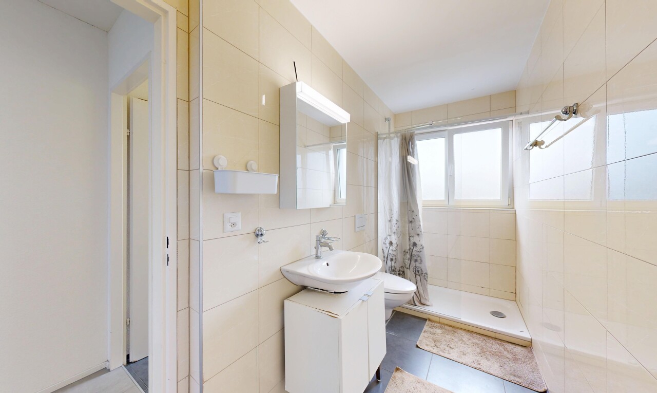 salle de bains avec mur en carrelage, tile wall, toilette, lumière naturelle, et natural light