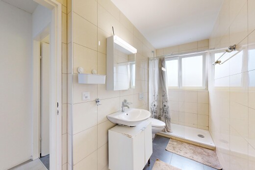 bad mit fliesenwand, tile wall, toilette, natürliches licht, und natural light