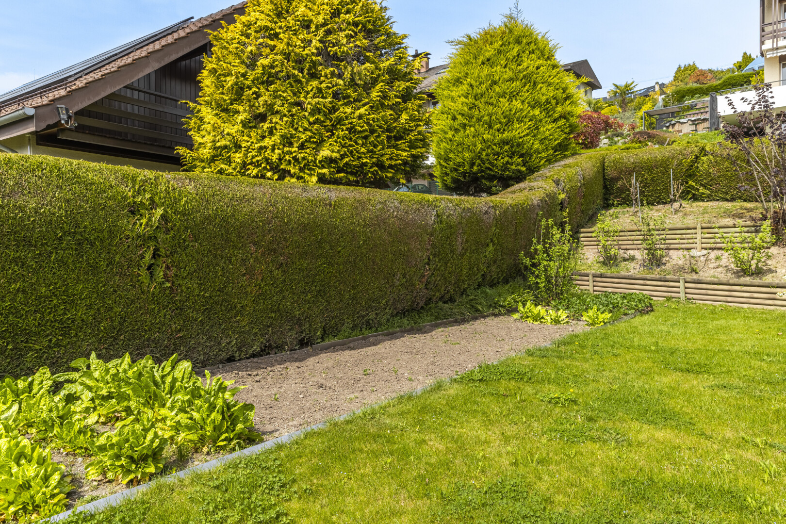 jardin avec day time, pelouse, et clôture