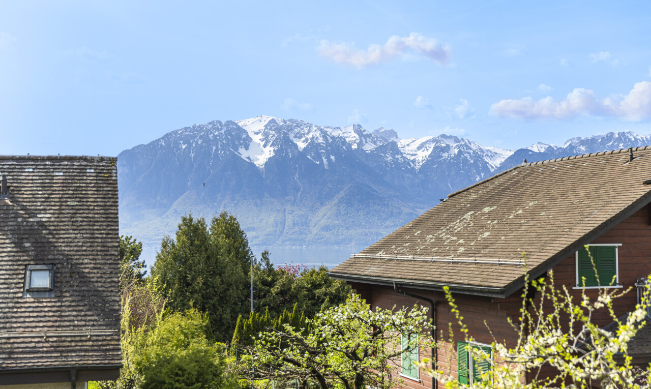 vue sur la montagne avec mountain view, vue sur la montagne, et day time