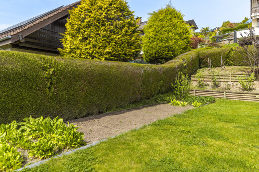 jardin avec day time, pelouse, et clôture