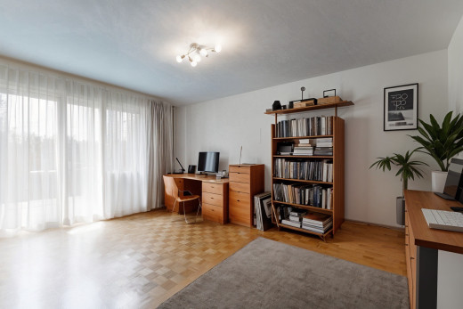 wohnzimmer mit natürliches licht, parkettboden, und fernseher