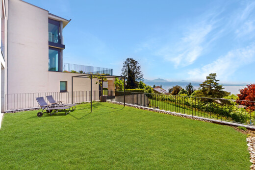 garten mit rasen und zaun