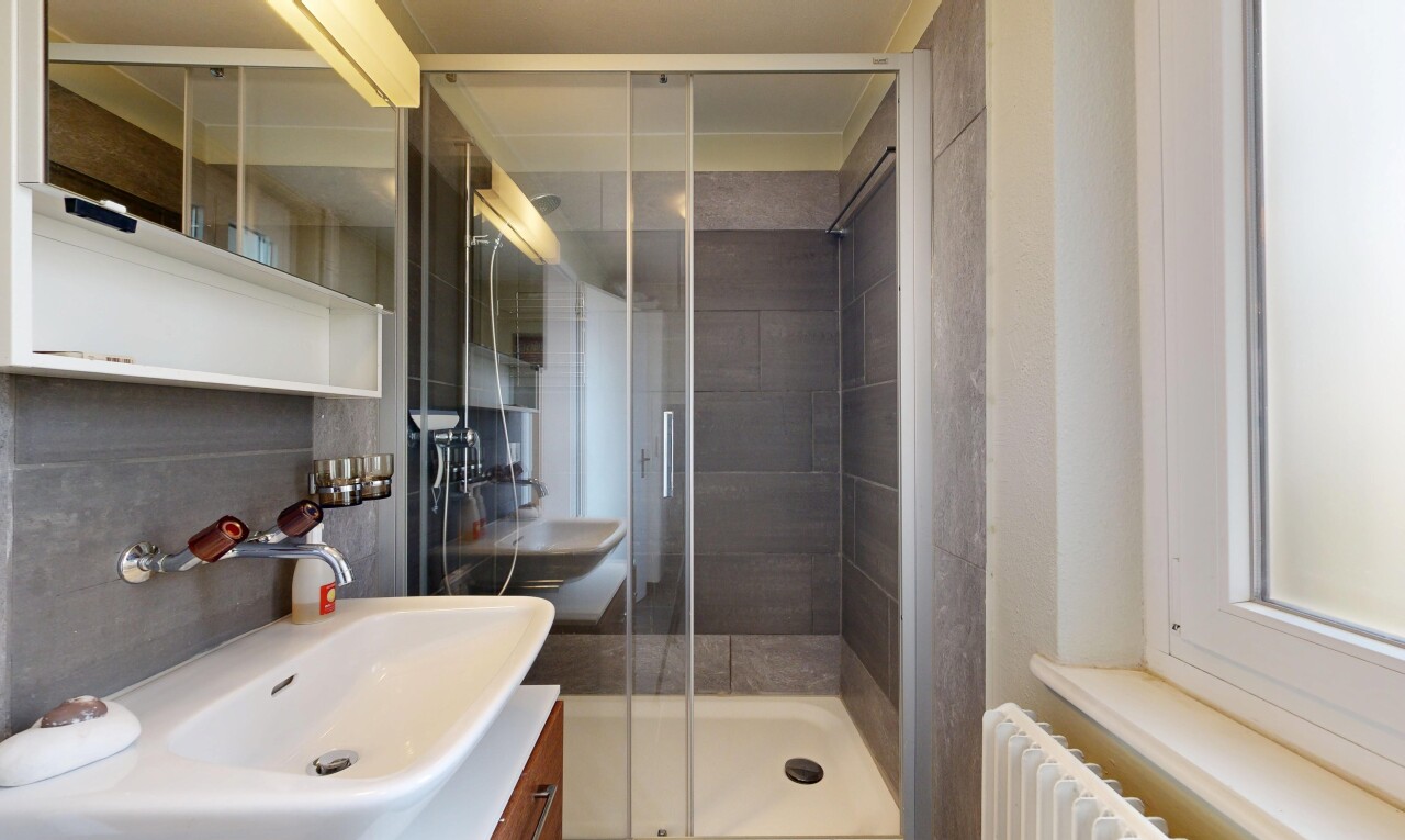 salle de bains avec miroir, salle de bain complète, radiateur, douche, et lavabo (ou coiffeuse selon le contexte)