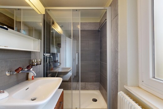 salle de bains avec miroir, salle de bain complète, radiateur, douche, et lavabo (ou coiffeuse selon le contexte)