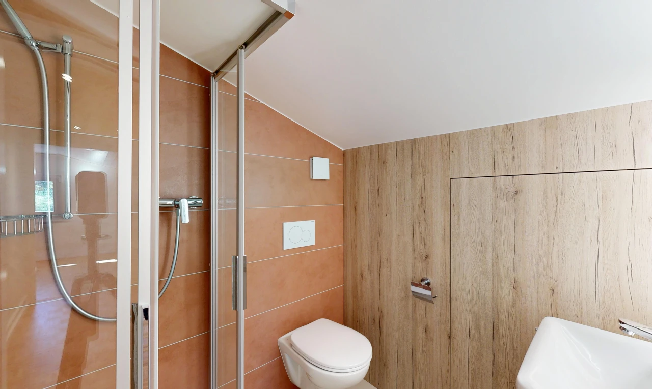 salle de bains avec douche, vaulted ceiling, plafond voûté, salle de bain complète, et inside property