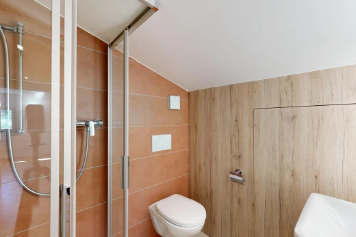 salle de bains avec douche, vaulted ceiling, plafond voûté, salle de bain complète, et inside property