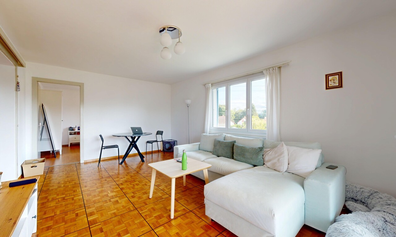 salon / salle à manger avec parquet floor, lumière naturelle, natural light, cloison sèche, et drywall