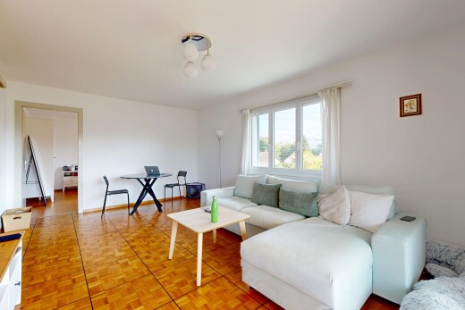 salon / salle à manger avec parquet floor, lumière naturelle, natural light, cloison sèche, et drywall