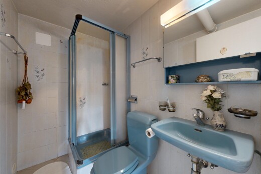 salle de bains avec toilette, douche, miroir, mur en carrelage, et tile wall