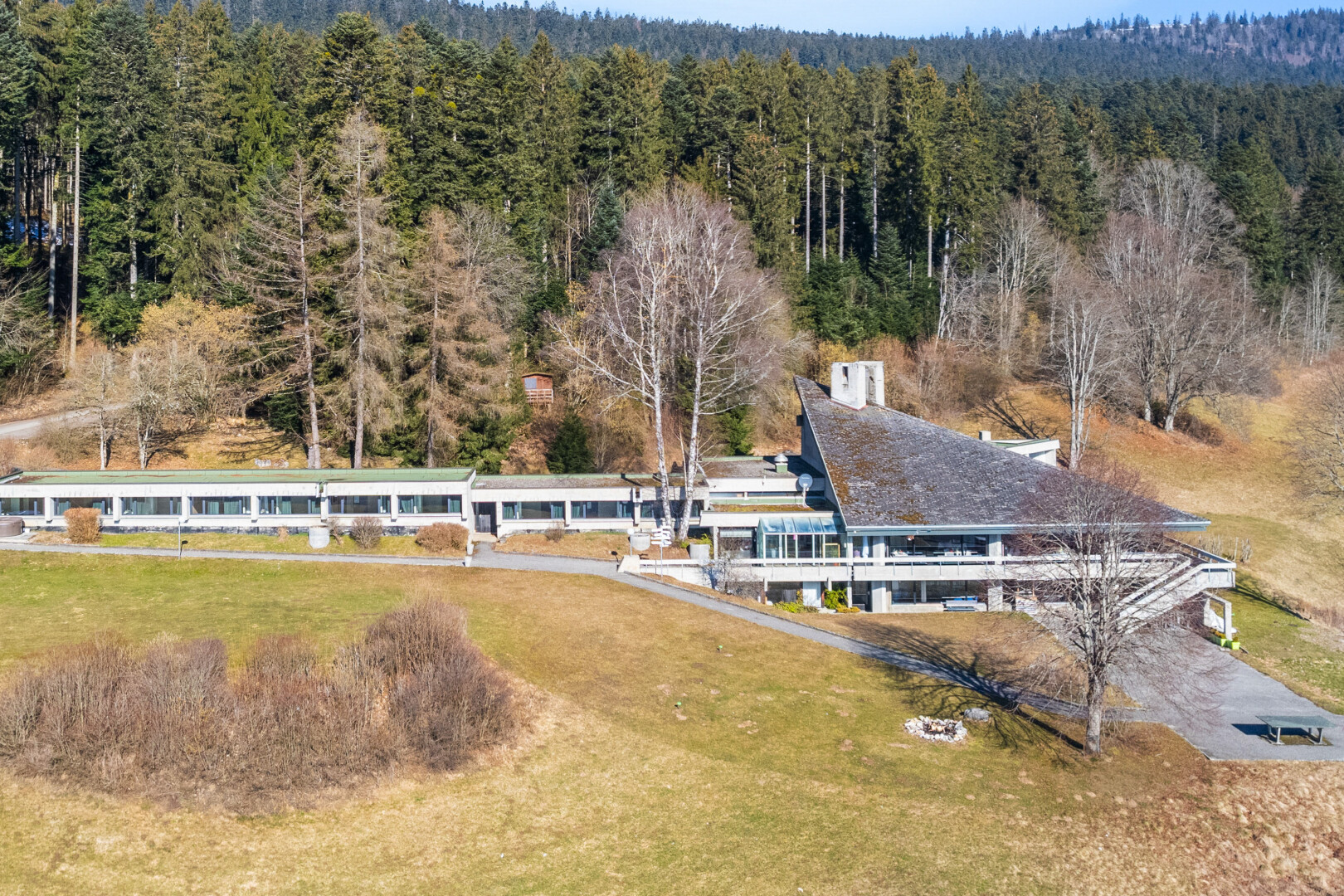 blick auf die berge mit waldblick