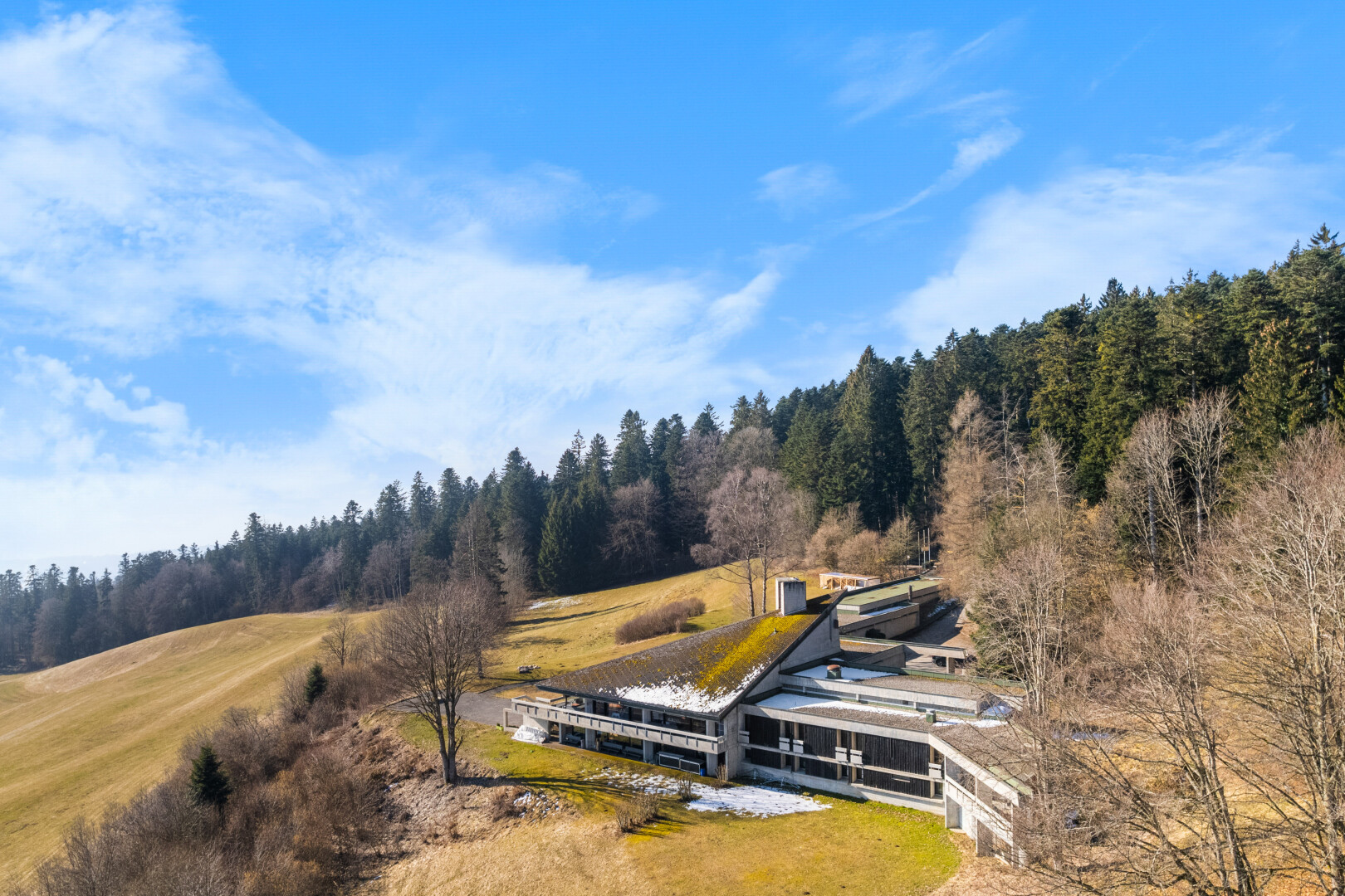 blick auf die berge mit waldblick