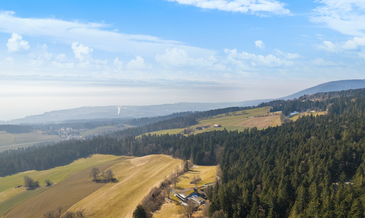 vue sur la montagne avec vue sur la montagne, vue sur la forêt, et vue rurale