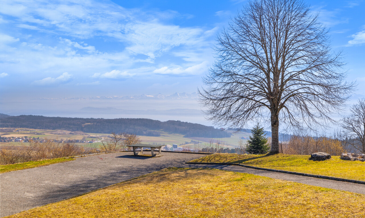 vue sur la montagne