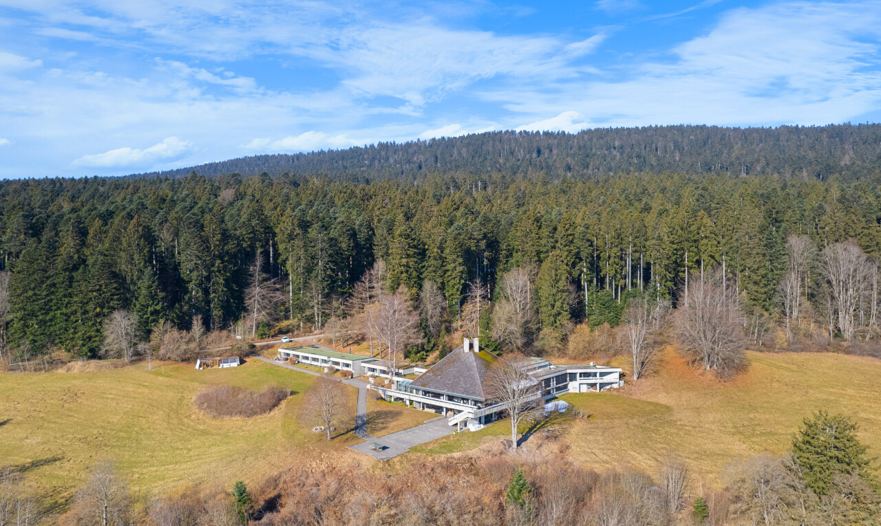 vue sur la montagne avec vue sur la forêt
