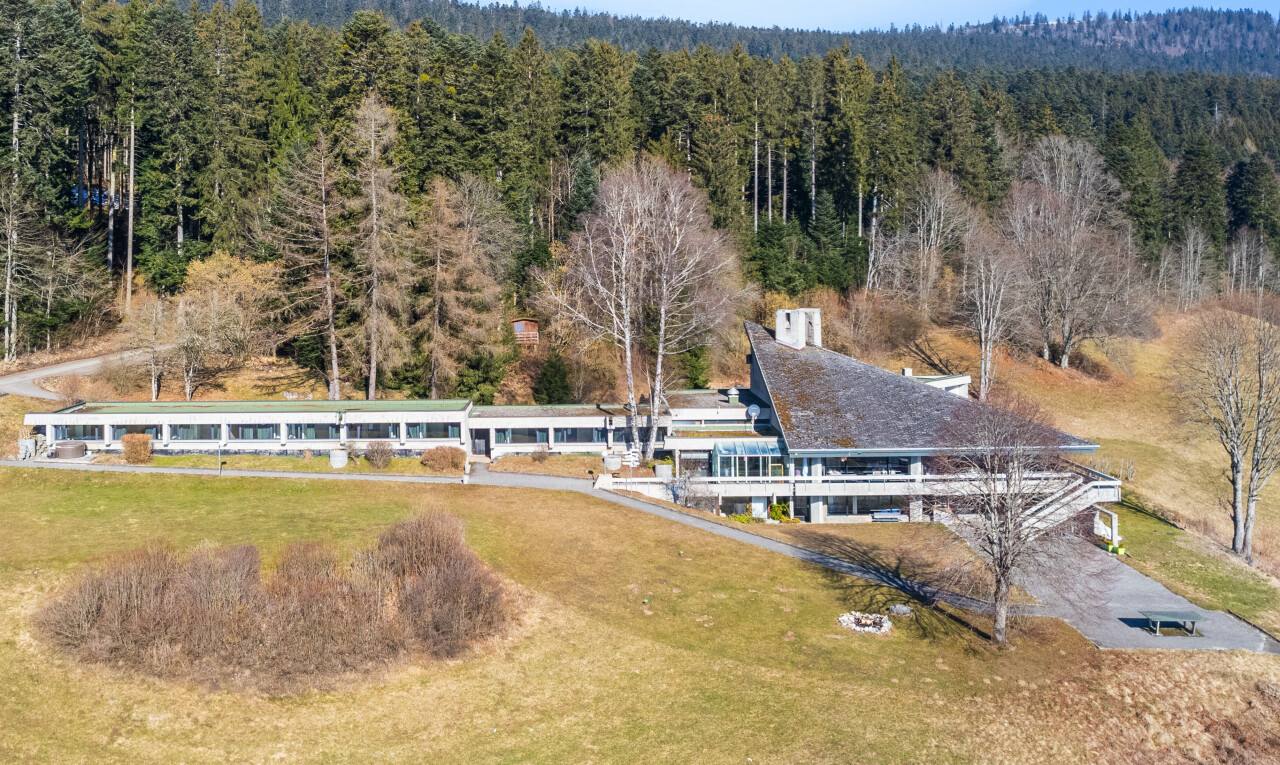 blick auf die berge mit waldblick