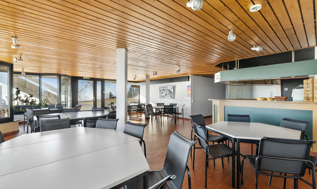 salle à manger avec sol en finition brique, plafond en bois, et lumière naturelle