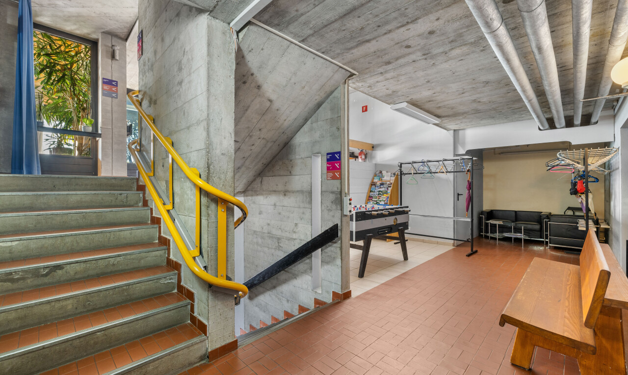 escaliers avec mur en béton, lumière naturelle, et escaliers