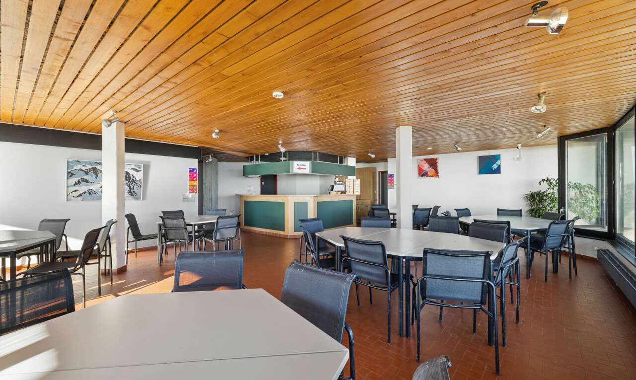 salon / salle à manger avec sol en finition brique, cloison sèche, plafond en bois, et lumière naturelle