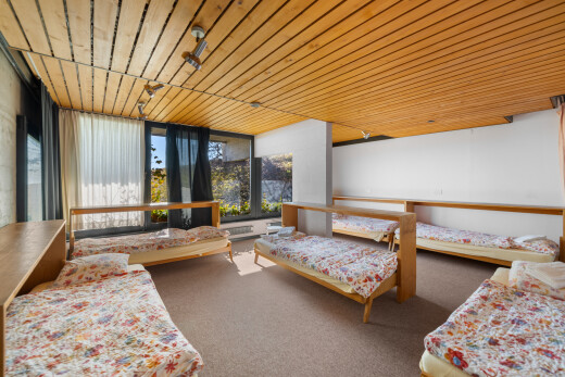 zimmer / schlafzimmer mit natürliches licht, teppich, gipskartonwand, und holzdecke