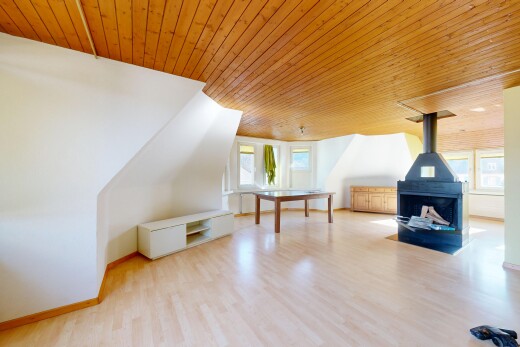 wohnzimmer mit holzdecke, wood ceiling, holzofen, inside property, und holzfußboden