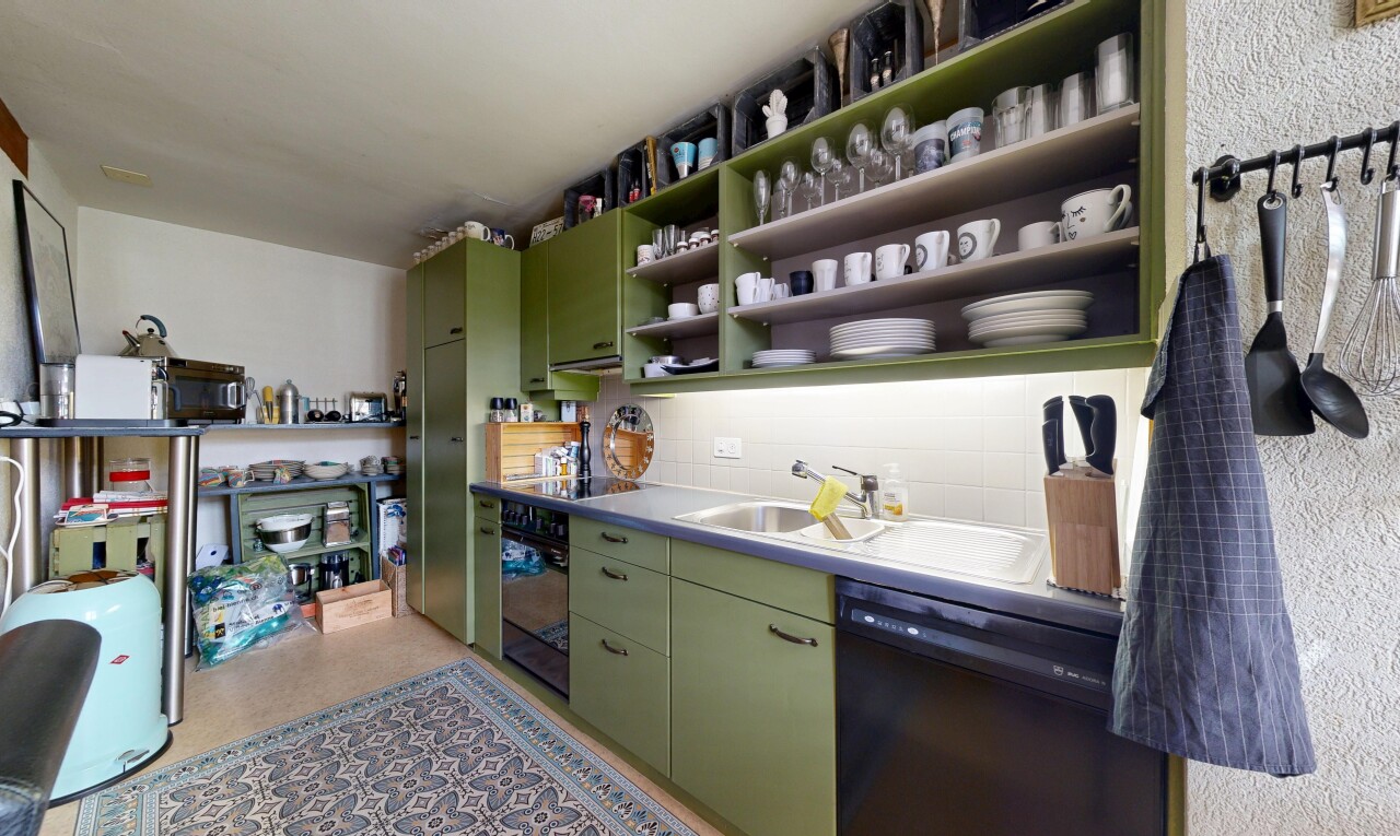 küche mit grüne schränke, green cabinets, offene regale, open shelves, und geschirrspülmaschine