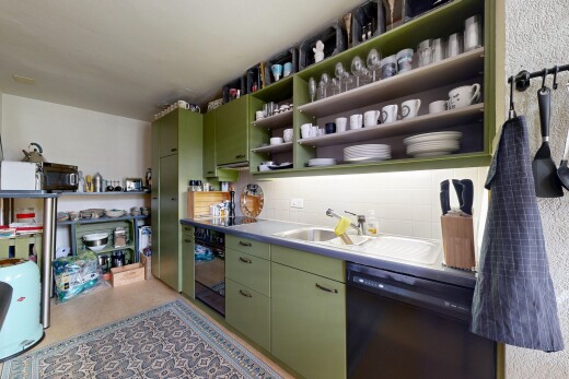 küche mit grüne schränke, green cabinets, offene regale, open shelves, und geschirrspülmaschine