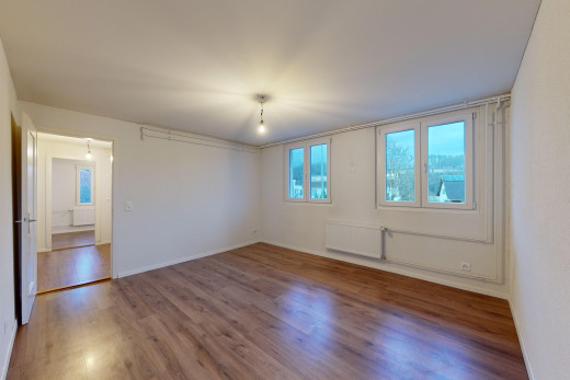 pièce vide avec plancher de bois, radiateur, et lumière naturelle