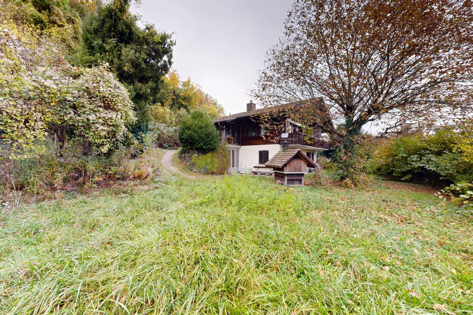 jardin avec overcast, pelouse, et property visible