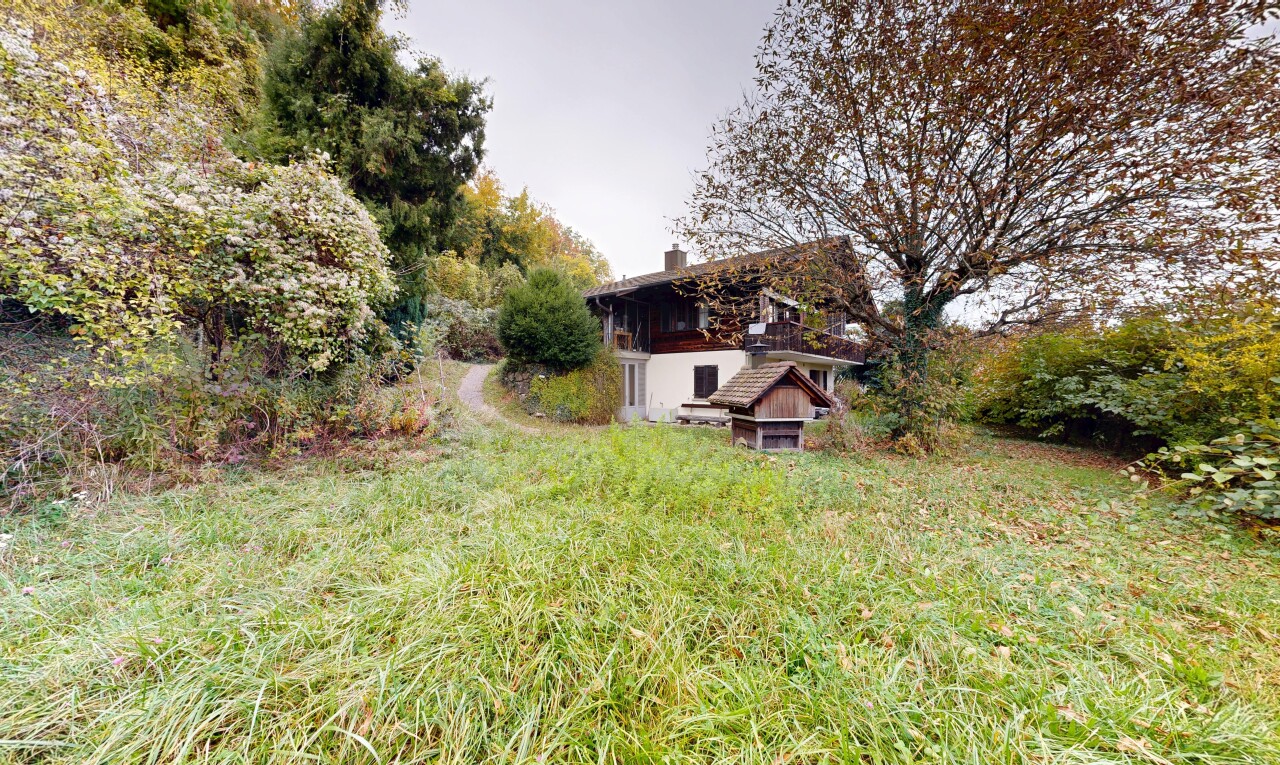 jardin avec overcast, pelouse, et property visible