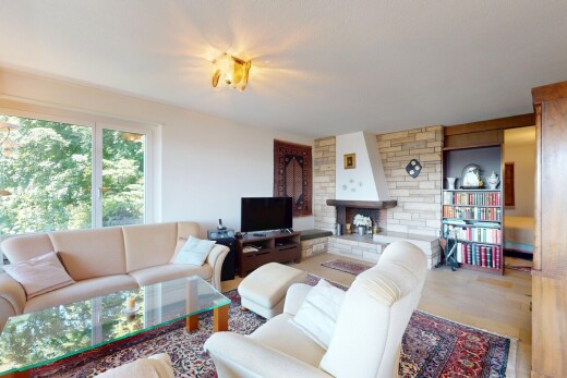 salon avec inside property, télévision, lumière naturelle, natural light, et cloison sèche