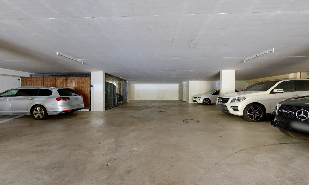parken mit parkgarage