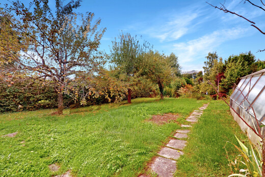jardin avec serre, pelouse, structure extérieure, et day time