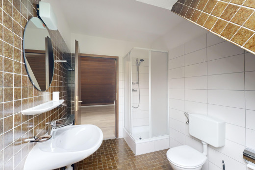 salle de bain avec mur carrelé, douche, et miroir
