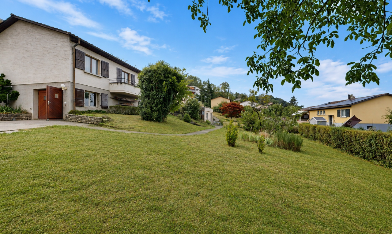 jardin avec pelouse et day time