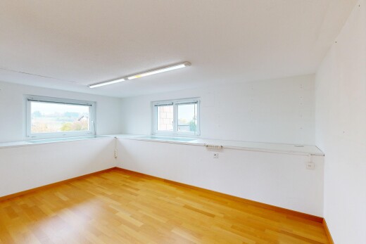 pièce vide avec natural light, lumière naturelle, wood finish floor, sol en finition bois, et drywall