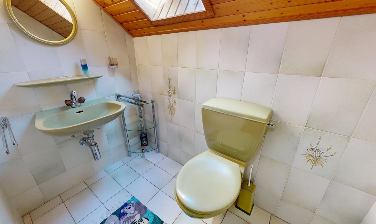salle de bains avec toilette, mur en carrelage, tile wall, évier, et miroir