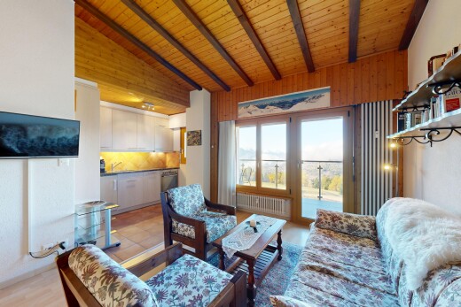 salon avec lumière naturelle, natural light, plafond en bois, wood ceiling, et plafond voûté